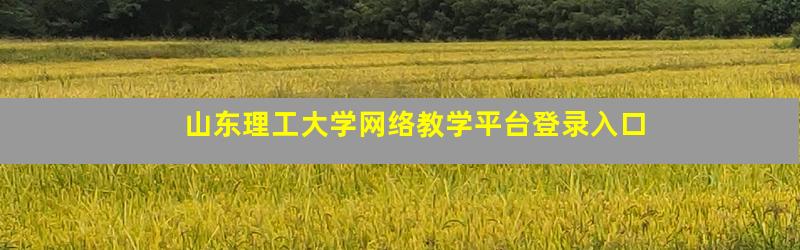 山东理工大学网络教学平台登录入口