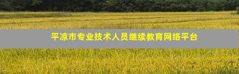 平凉市专业技术人员继续教育网络平台