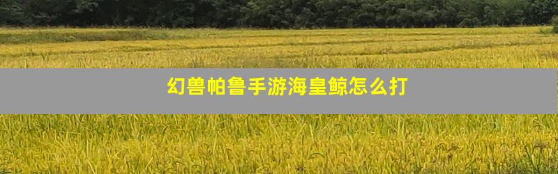 幻兽帕鲁手游海皇鲸怎么打