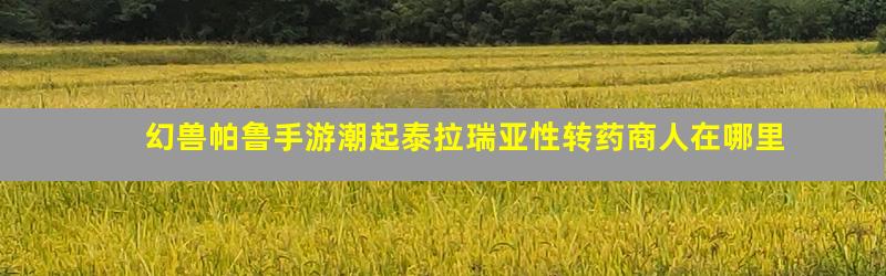 幻兽帕鲁手游潮起泰拉瑞亚性转药商人在哪里