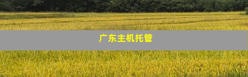 广东主机托管