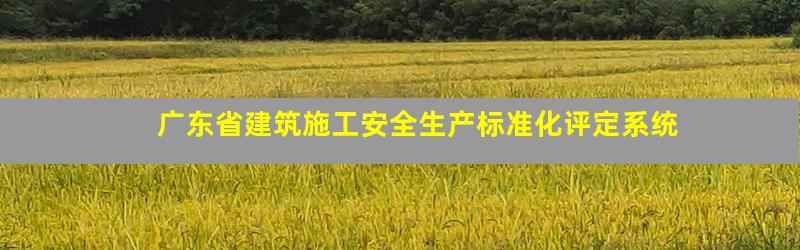 广东省建筑施工安全生产标准化评定系统