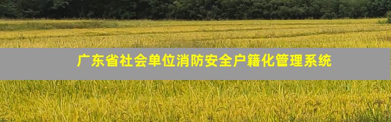 广东省社会单位消防安全户籍化管理系统