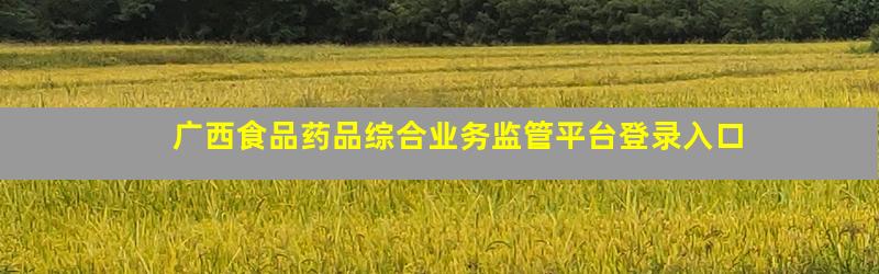 广西食品药品综合业务监管平台登录入口