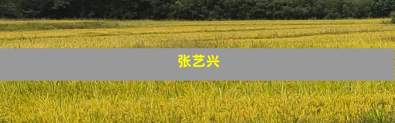张艺兴