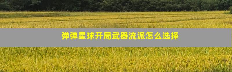弹弹星球开局武器流派怎么选择