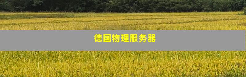 德国物理服务器