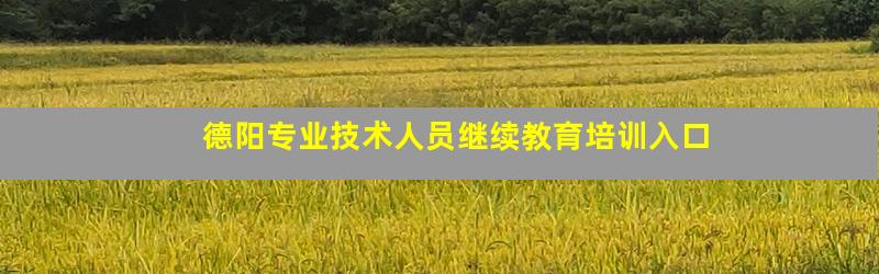 德阳专业技术人员继续教育培训入口