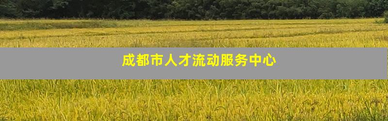 成都市人才流动服务中心