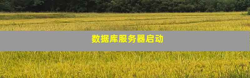 数据库服务器启动