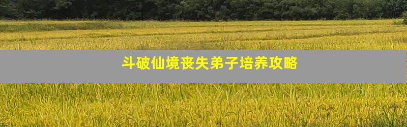 斗破仙境丧失弟子培养攻略
