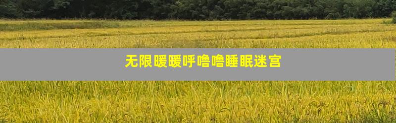 无限暖暖呼噜噜睡眠迷宫