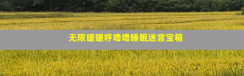 无限暖暖呼噜噜睡眠迷宫宝箱