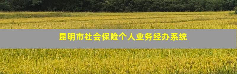 昆明市社会保险个人业务经办系统