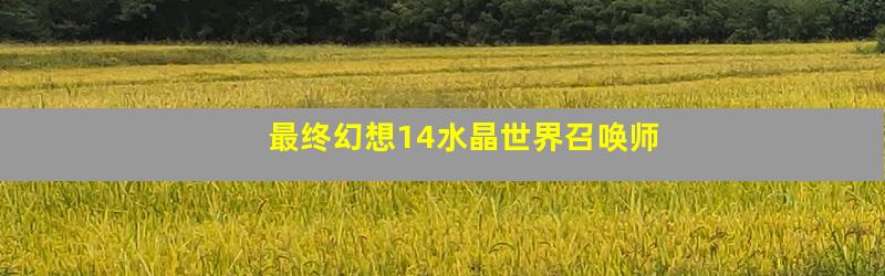 最终幻想14水晶世界召唤师
