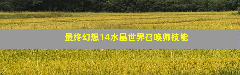 最终幻想14水晶世界召唤师技能