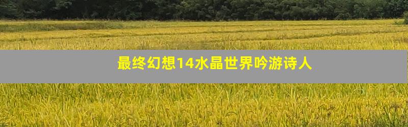 最终幻想14水晶世界吟游诗人