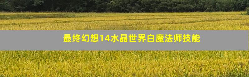 最终幻想14水晶世界白魔法师技能