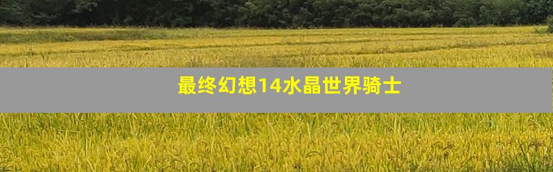 最终幻想14水晶世界骑士