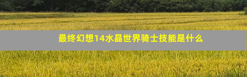 最终幻想14水晶世界骑士技能是什么