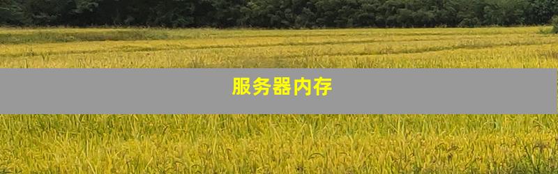 服务器内存