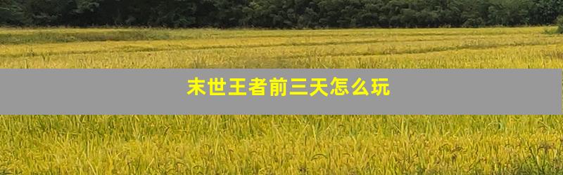 末世王者前三天怎么玩