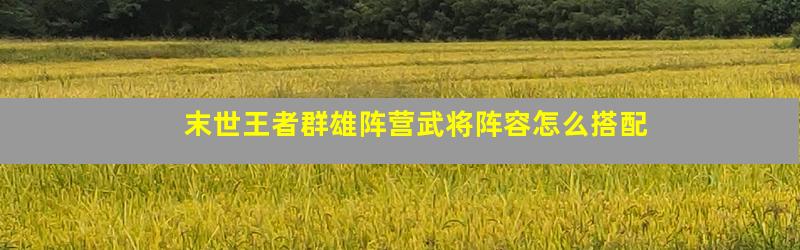 末世王者群雄阵营武将阵容怎么搭配