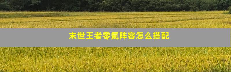 末世王者零氪阵容怎么搭配