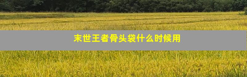 末世王者骨头袋什么时候用
