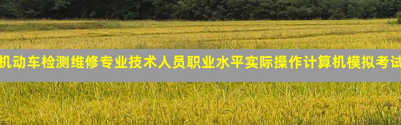 机动车检测维修专业技术人员职业水平实际操作计算机模拟考试系统