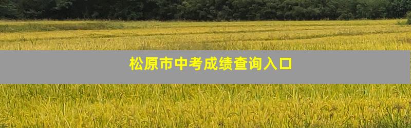 松原市中考成绩查询入口