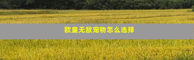 欧皇无敌宠物怎么选择