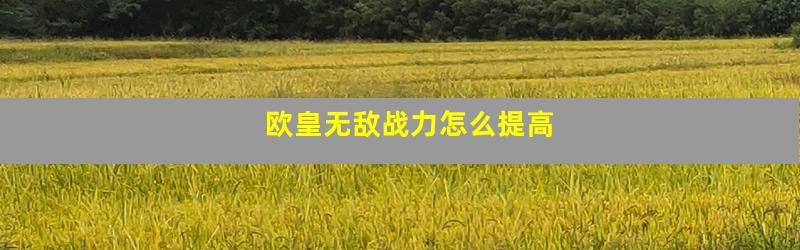 欧皇无敌战力怎么提高