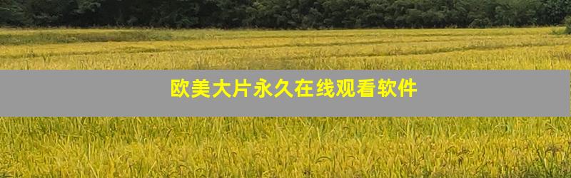 欧美大片永久在线观看软件