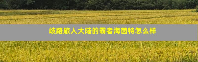 歧路旅人大陆的霸者海茵特怎么样