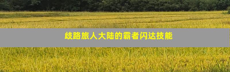 歧路旅人大陆的霸者闪达技能