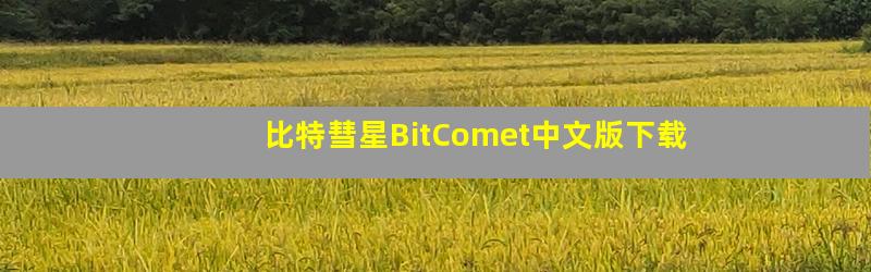 比特彗星BitComet中文版下载