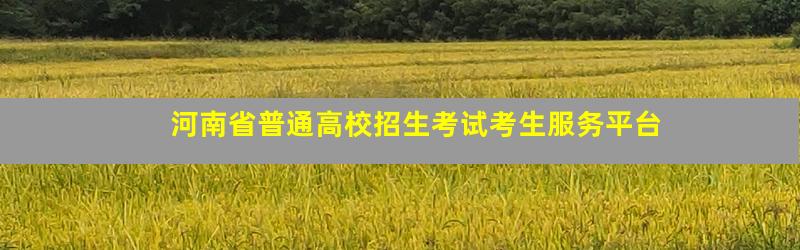河南省普通高校招生考试考生服务平台