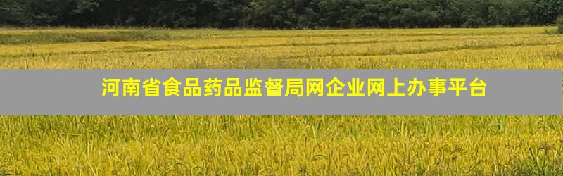 河南省食品药品监督局网企业网上办事平台