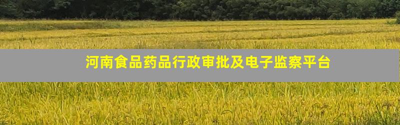 河南食品药品行政审批及电子监察平台