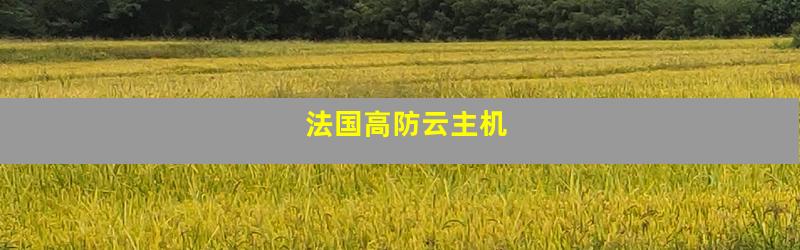 法国高防云主机