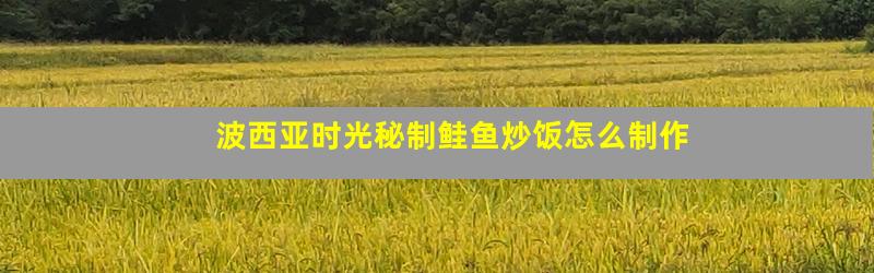 波西亚时光秘制鲑鱼炒饭怎么制作