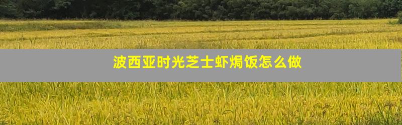 波西亚时光芝士虾焗饭怎么做