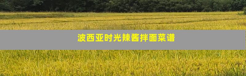 波西亚时光辣酱拌面菜谱