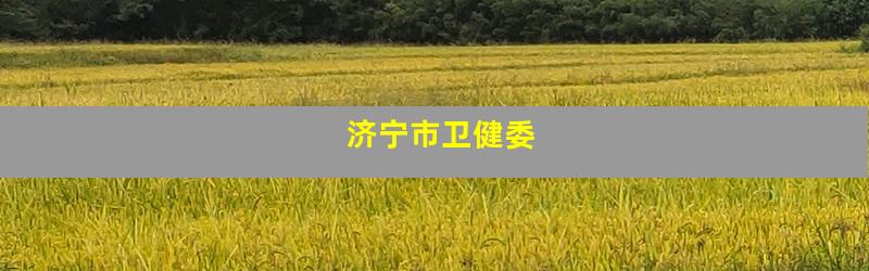济宁市卫健委