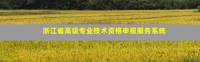 浙江省高级专业技术资格申报服务系统