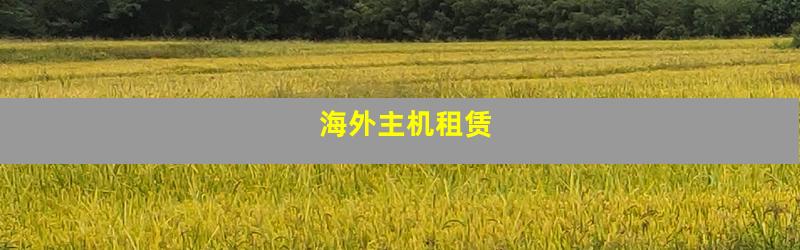 海外主机租赁