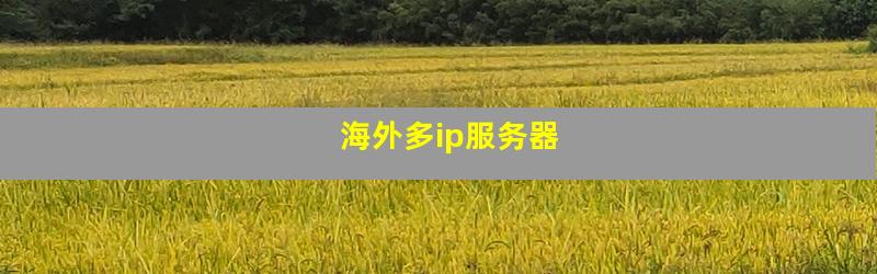 海外多ip服务器