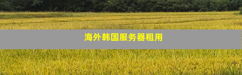 海外韩国服务器租用