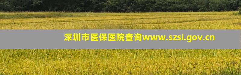 深圳市医保医院查询www.szsi.gov.cn